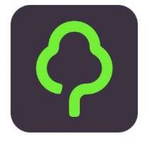 gumtree classifieds