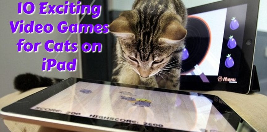 cat-apps
