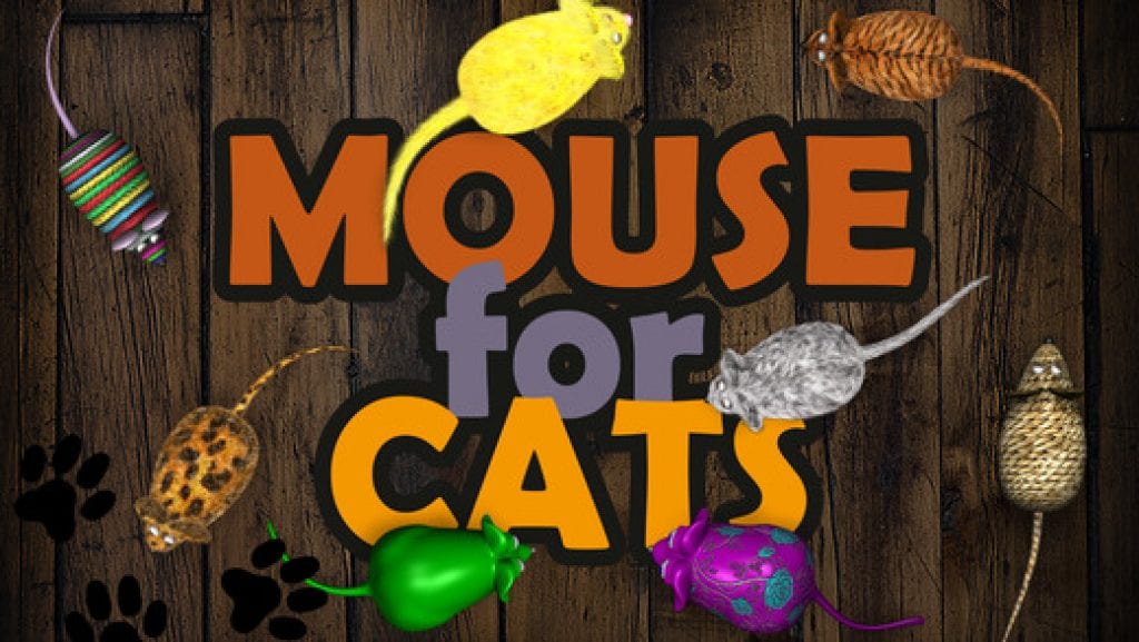 mouse for cats