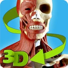 12 Best Anatomy apps for Android & IOS | Free apps for android; IOS