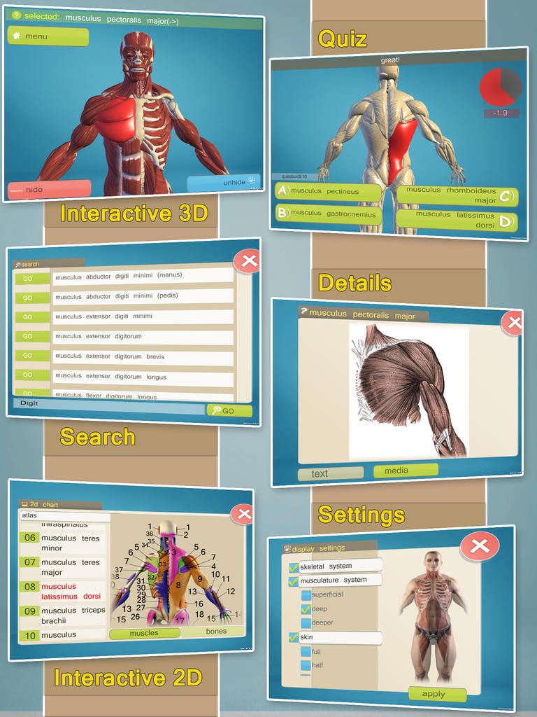 easy-anatomy