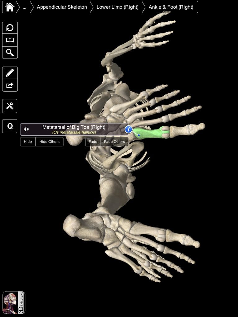 free apps like essential anatomy 3 free apps like essential anatomy 3