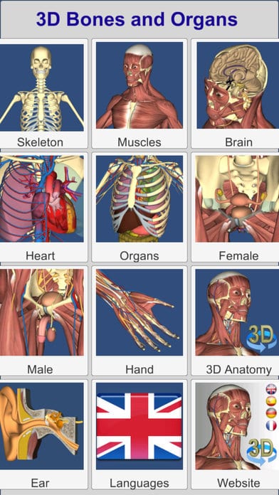 bones-and-organs