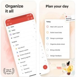 todoist1