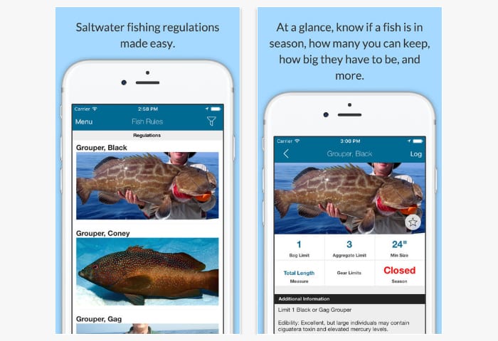 fish rules app