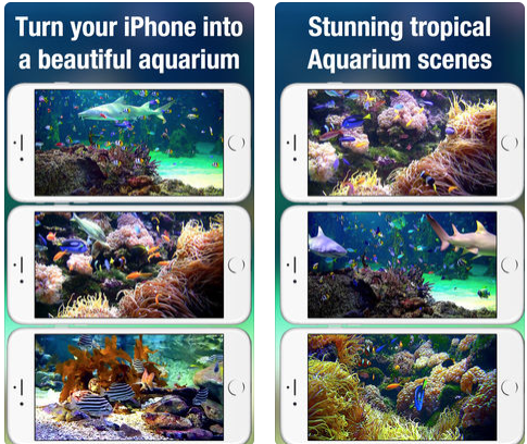 Aquarium Live HD screen
