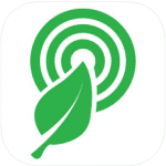 rainforest connection icon