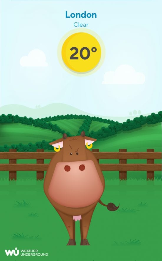 WeatherCows1