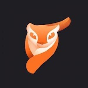 Enlight Pixaloop - Photo Animator
