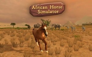 Wild African Horse