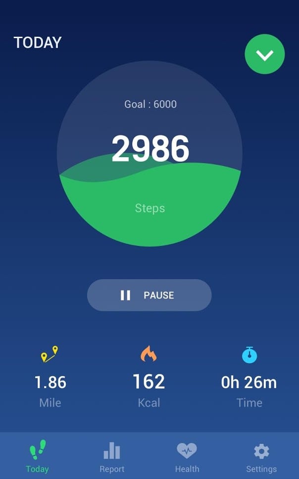 Leap fitness group pedometer1