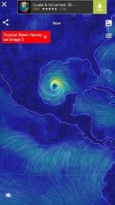 Wind Map: Hurricane Tracker