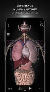 Anatomyka - 3D Human Anatomy Atlas