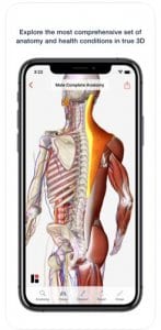 3D Human Anatomy & Disease