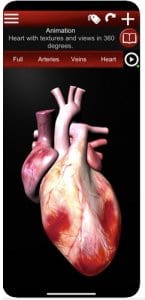  Circulatory System 3D Anatomy 