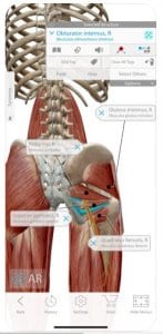 Human Anatomy Atlas 2020: Complete 3D Human Body
