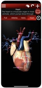  Circulatory System 3D Anatomy 