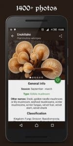 Book of Mushrooms2