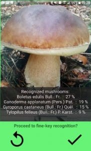 mushrooms app1