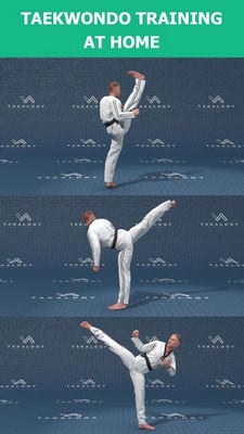 mastering taekwondo1