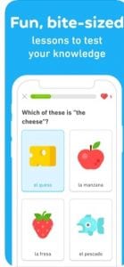 Duolingo1