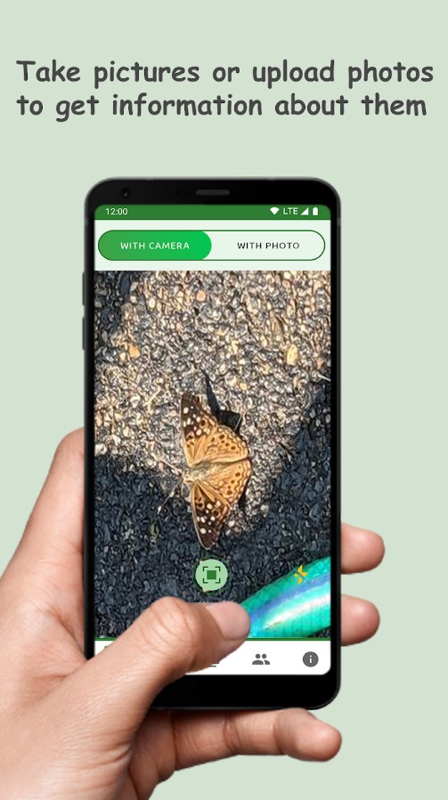 Butterfly: Identify, Search
1
